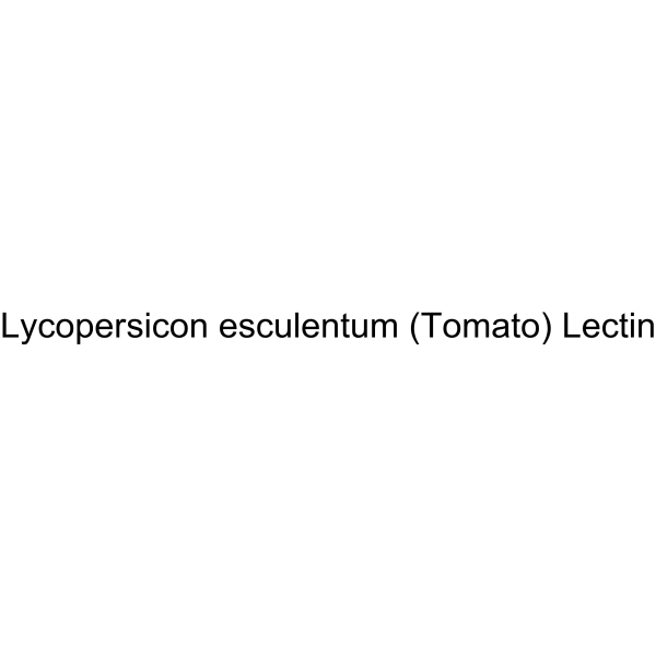 Lycopersicon esculentum (Tomato) Lectin